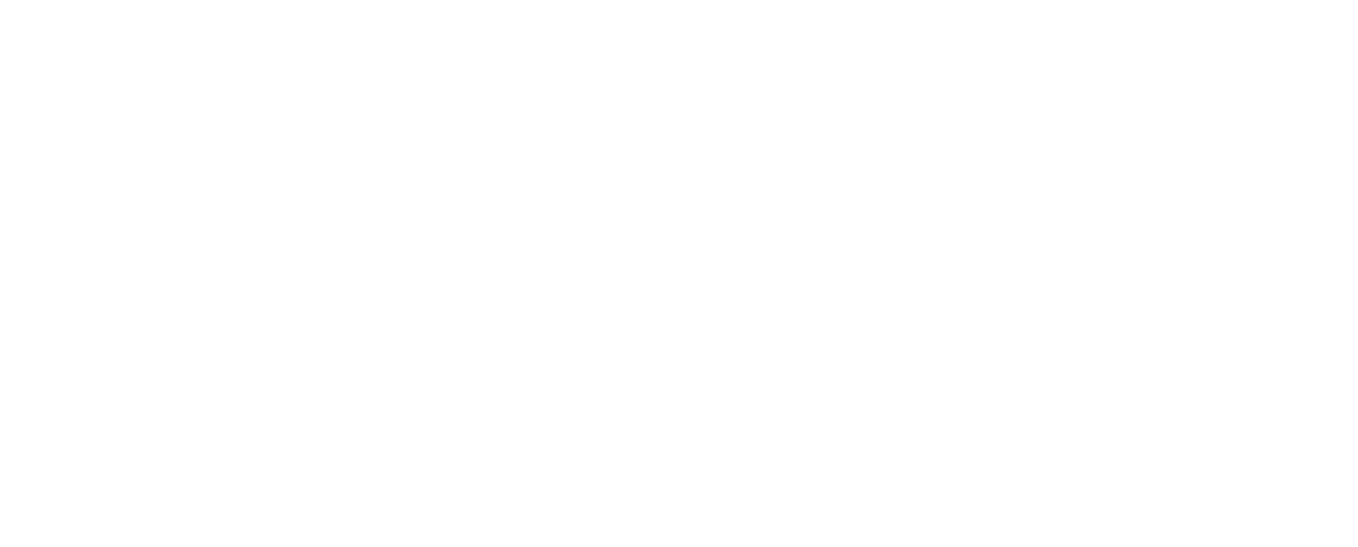 Fenerbahçe Cimnastik : 